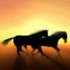 Running Horses.gif