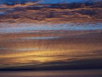 100_6040.jpg