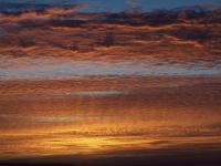 100_6042.jpg